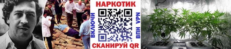 Где найти наркотики Алдан