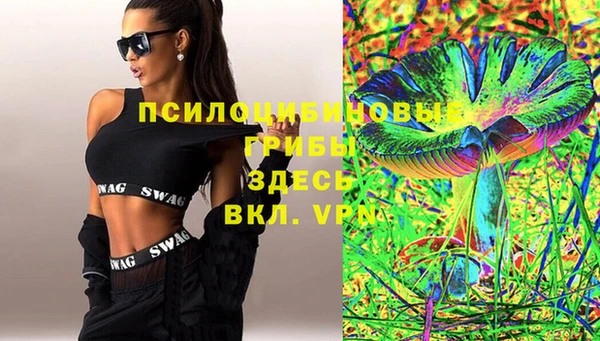 дмт Абаза
