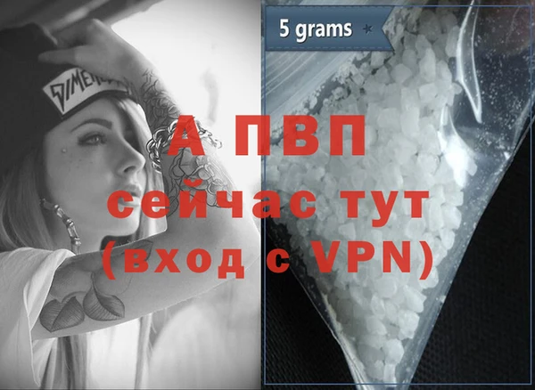 дмт Абаза
